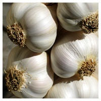 Garlic NZ per kg