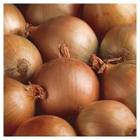 Onions 1.5kg bag