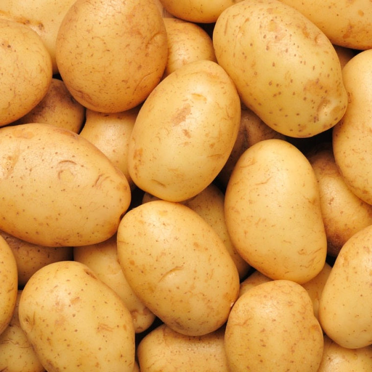 Potato Agria 3kg Washed