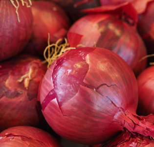 Red Onions 6pk